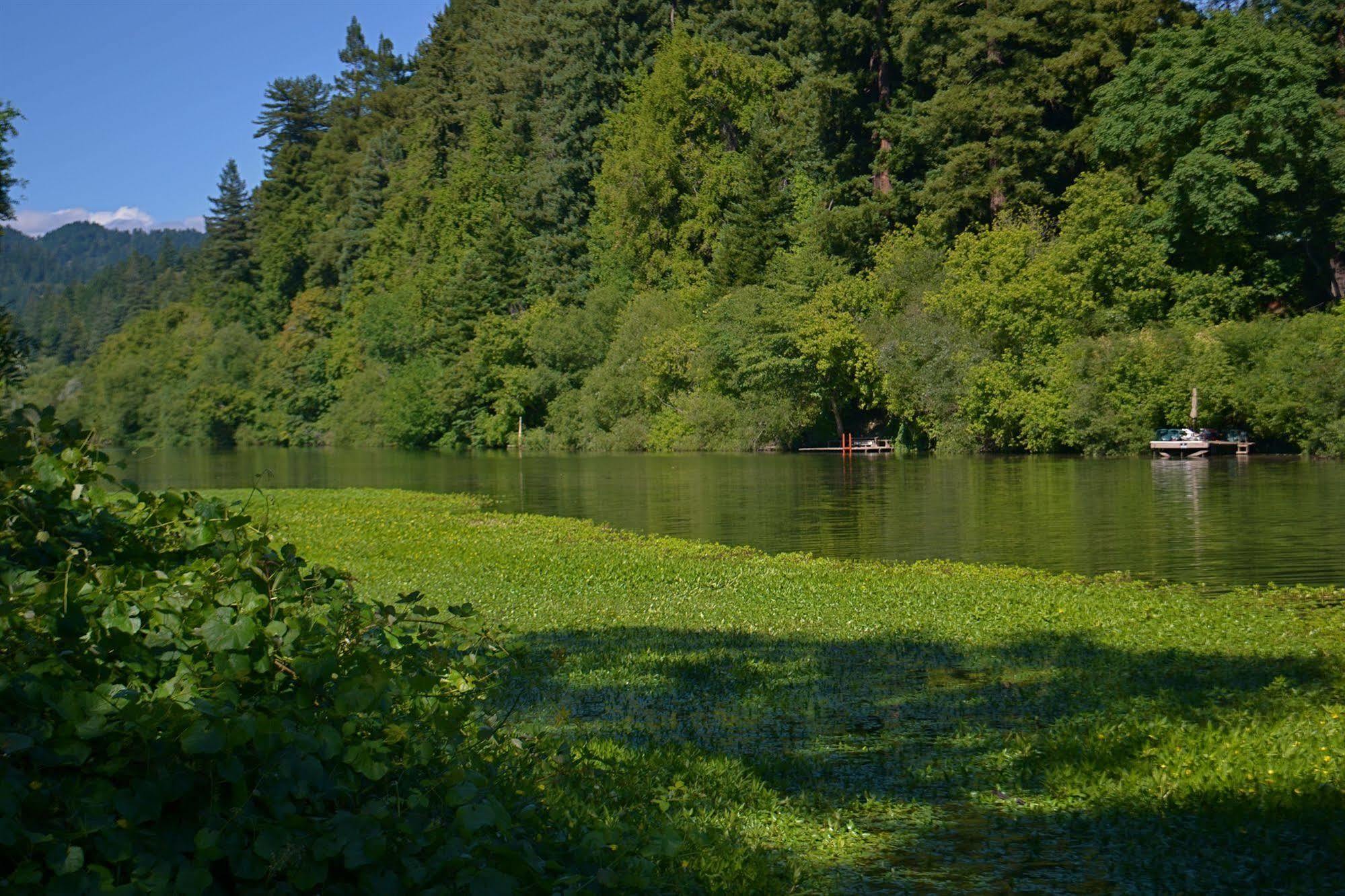Guerneville Lodge Exteriér fotografie