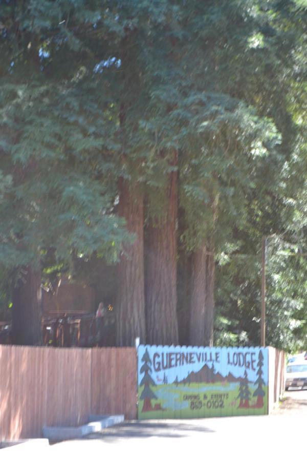 Guerneville Lodge Exteriér fotografie